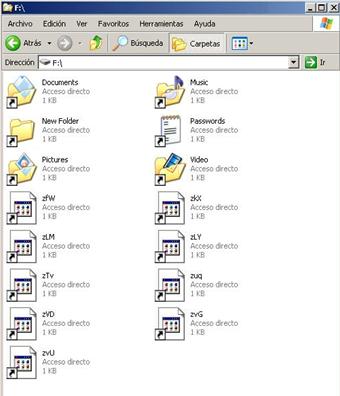 Visible files created by VobfusLNK.A in a USB device