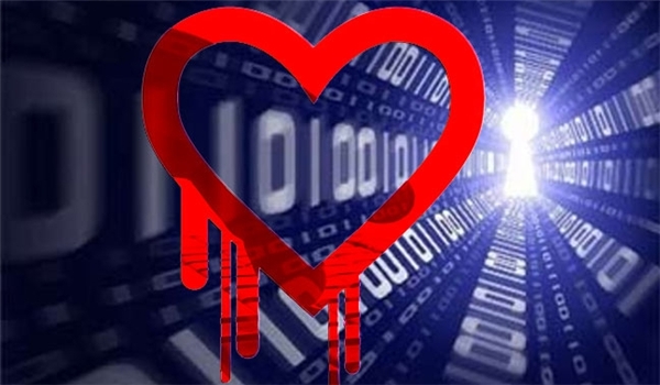 Heartbleed bug