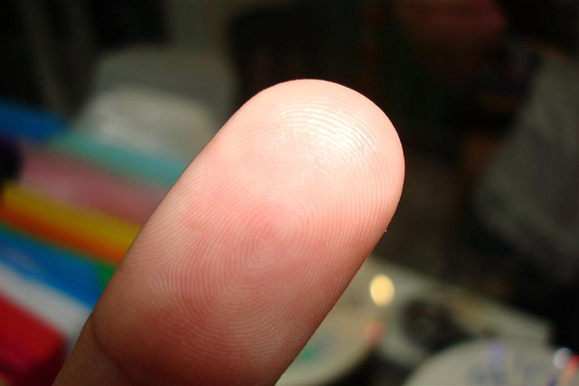 fingerprint