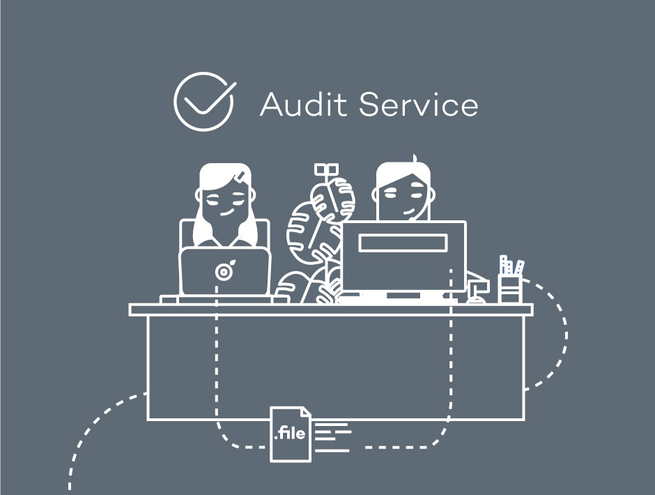 audit service logo