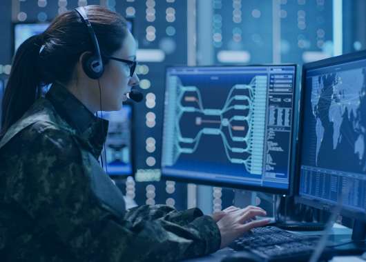 What can organizations learn from military cyberdefense?