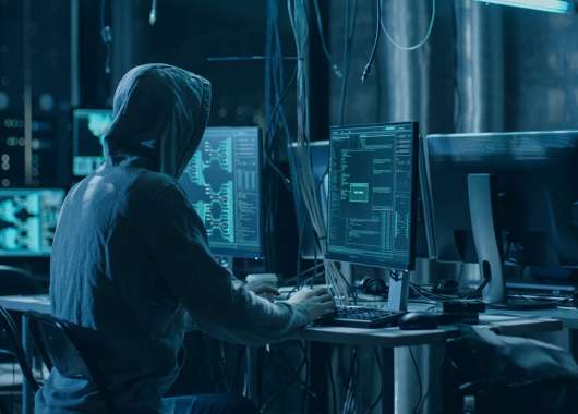 GoldBrute: the botnet searching for RDP connections