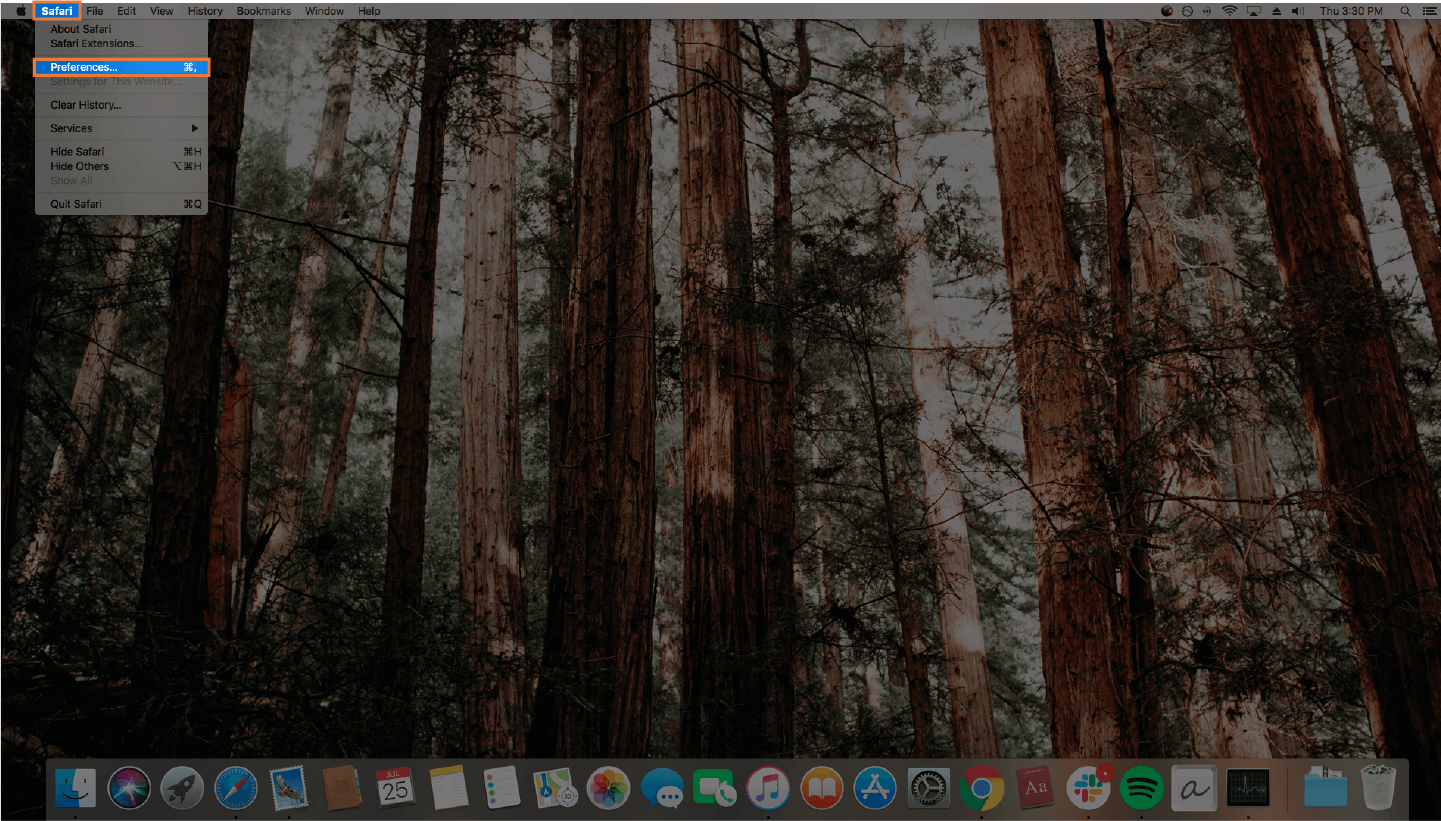 screenshot of finding preferences on safari