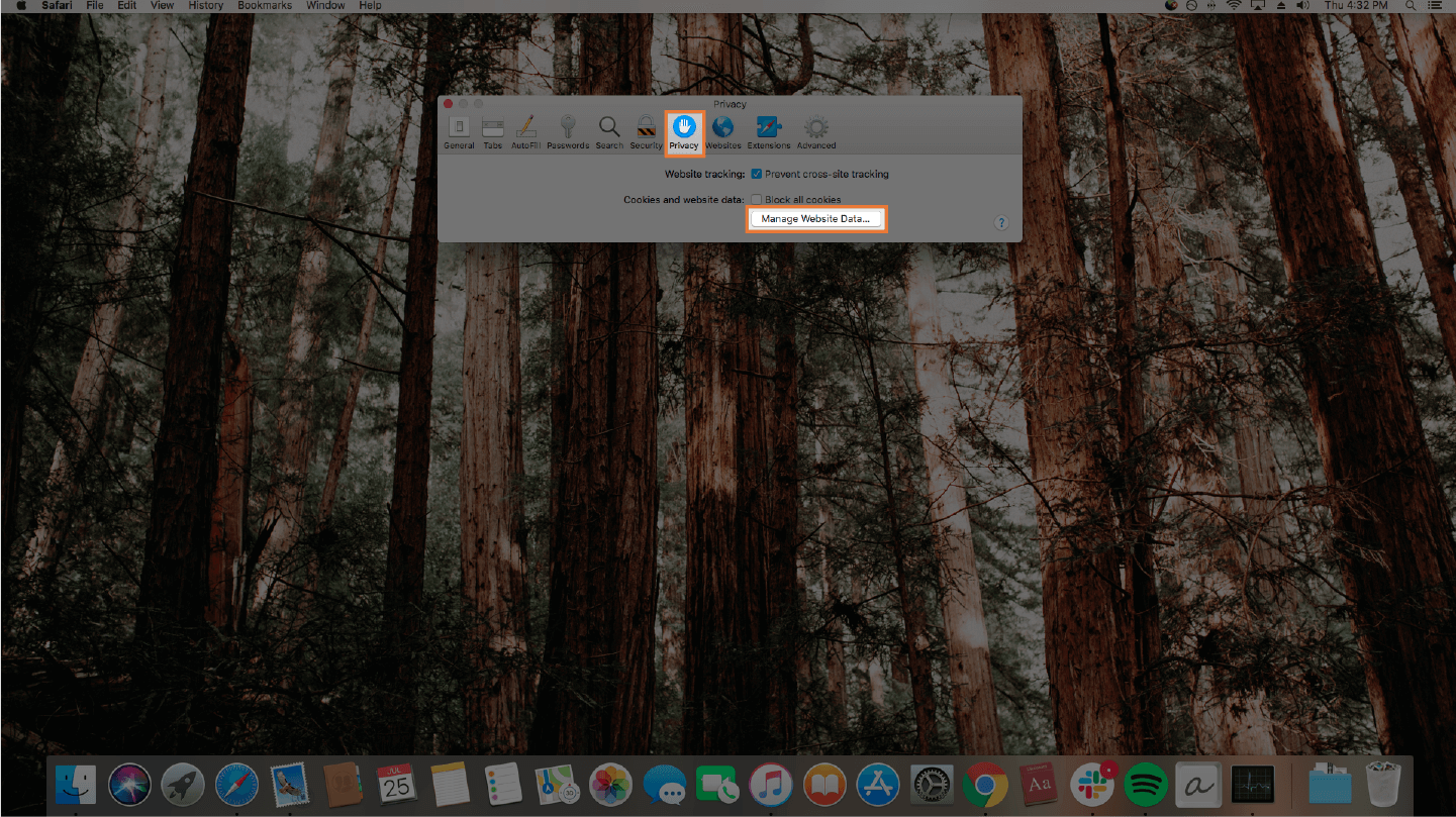 screenshot of clearing your cache