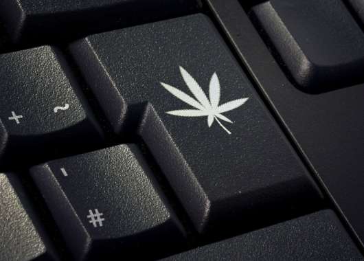 cannabis buyers data leaked