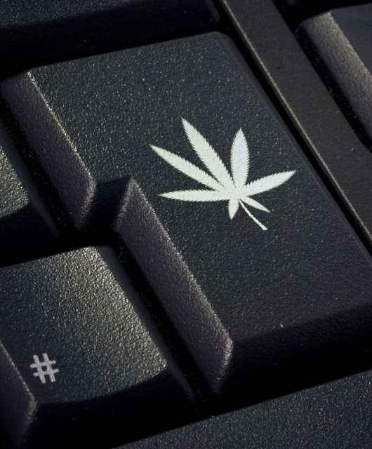 cannabis buyers data leaked