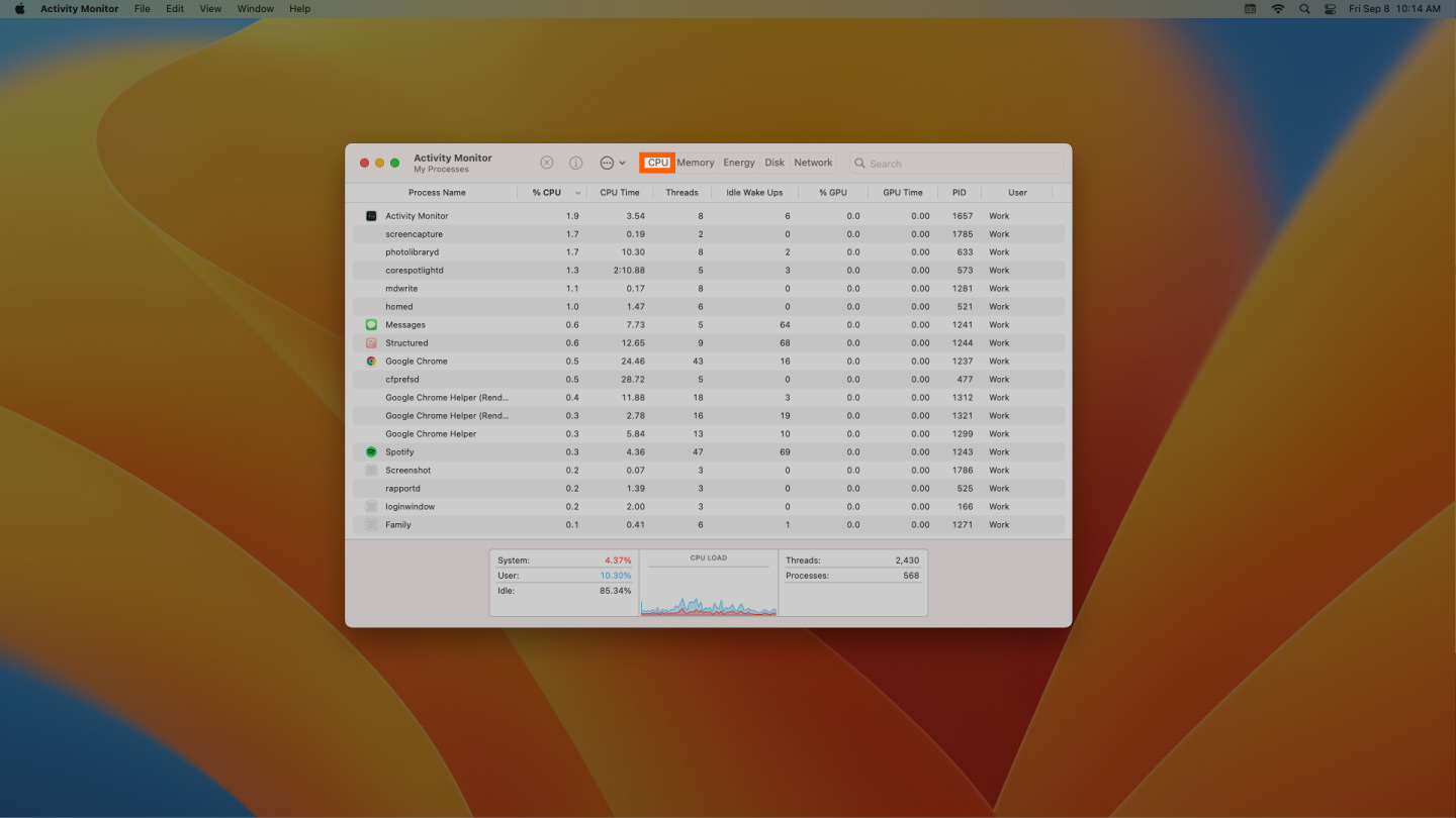 Screenshot showing how to check CPU usage on Mac computers.