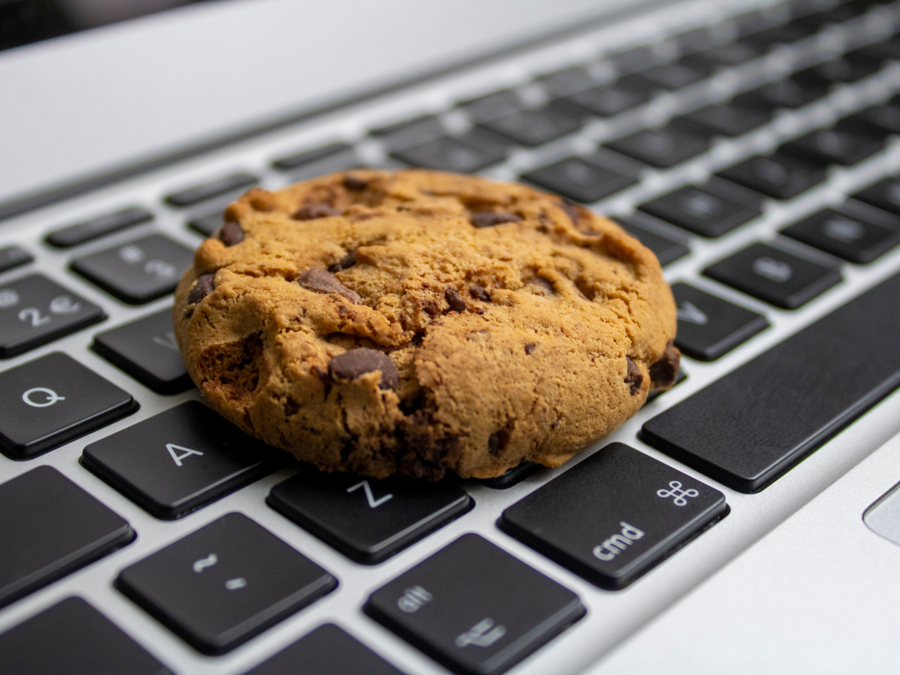 Can cookies steal password?
