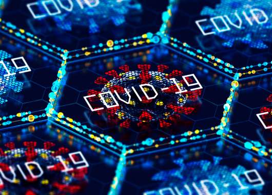 covid-report