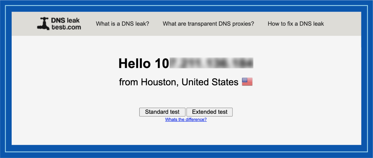Screenshot of a DNS leak page