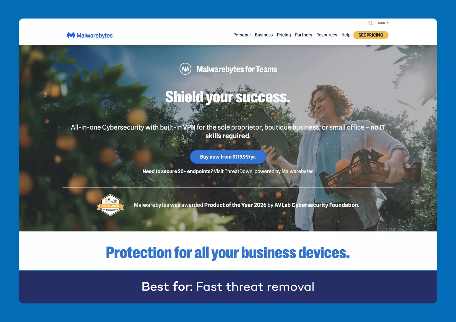 A screenshot of the website for Malwarebytes antivirus for small business.
