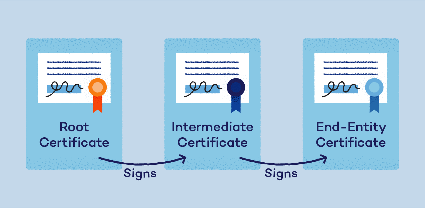 Root certificate signs the intermediate certificate which signs the end-entity certificate.