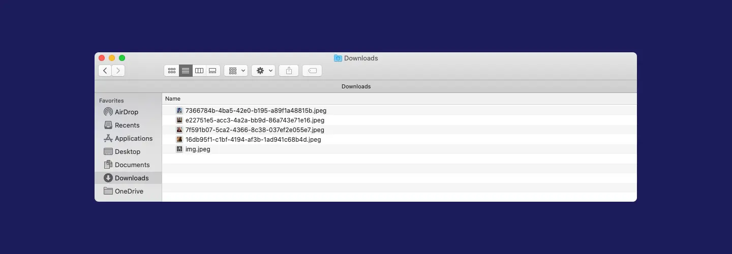 Screenshot showing downloaded files on Mac