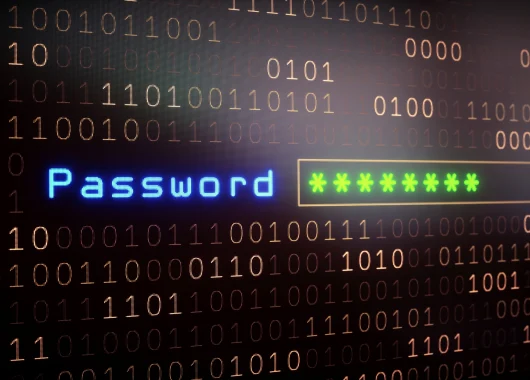 which-websites-have-the-most-forgetful-users
