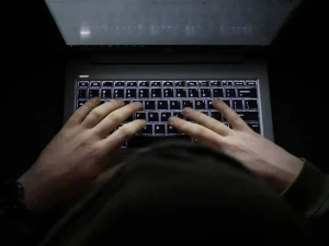 cyberbullying of environmental activists