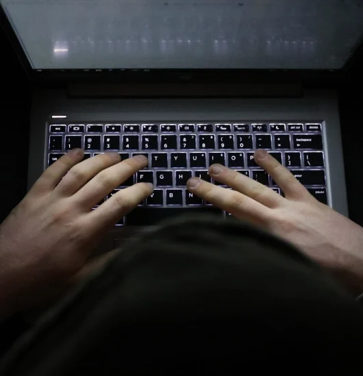 cyberbullying of environmental activists