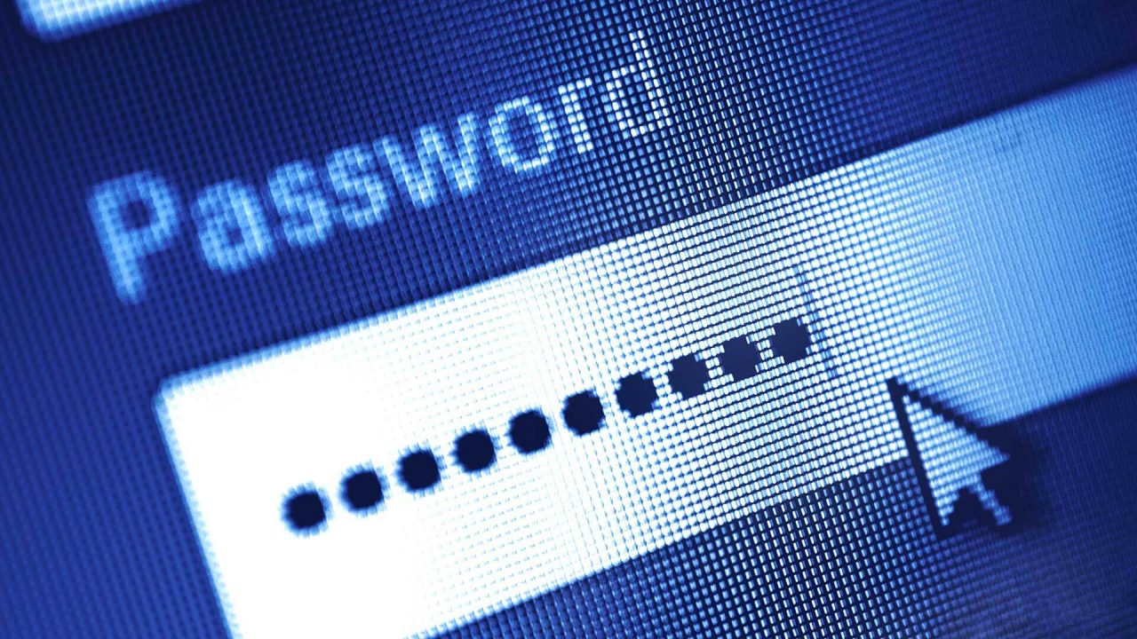 Password typed on a computer screen.