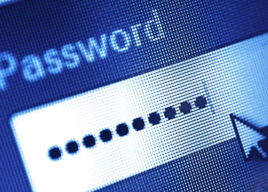 Password typed on a computer screen.
