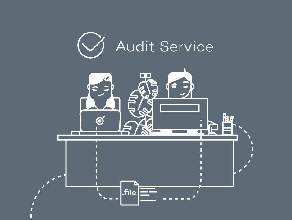 logo audit service