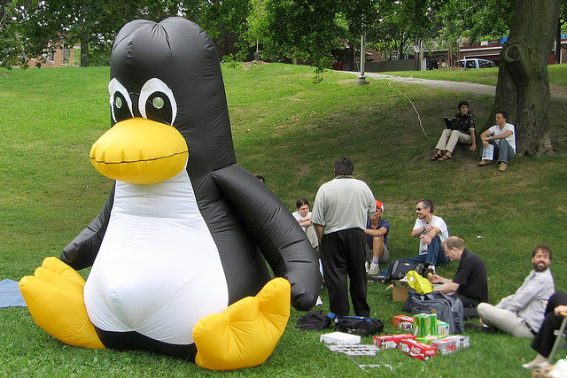 pinguino linux