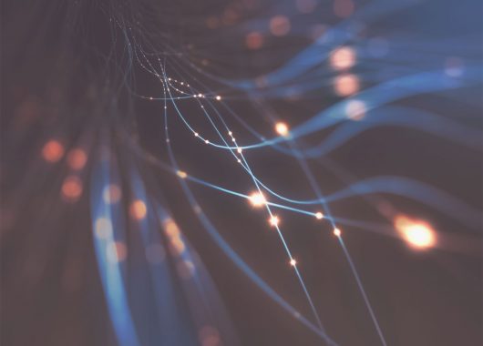 Panda- Security- Whitepaper