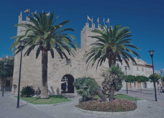 Ayuntamiento de Alcúdia, un gobierno local ciberprotegido con éxito