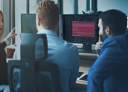 RobbinHood: el ransomware que aprovecha su fama
