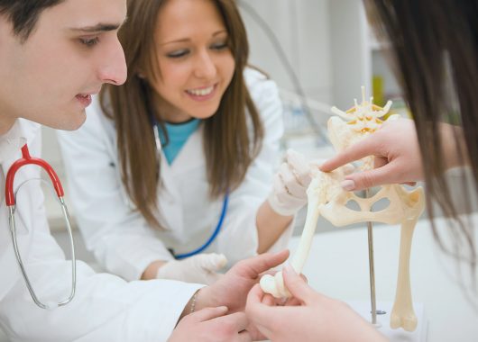 Ciberseguridad en la Universidad de Medicina Veterinaria de Budapest