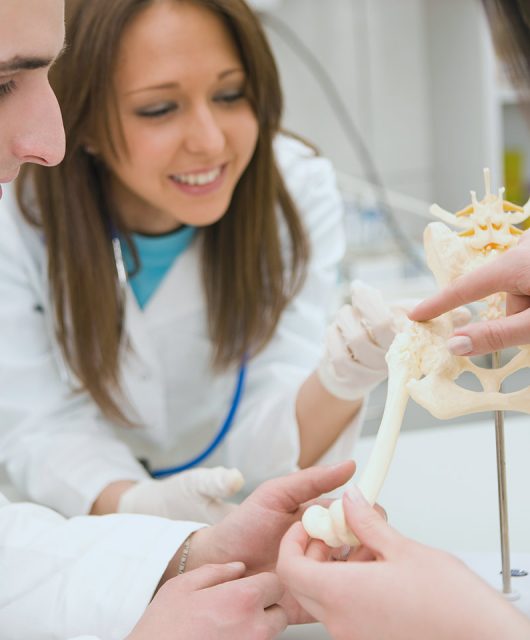 Ciberseguridad en la Universidad de Medicina Veterinaria de Budapest