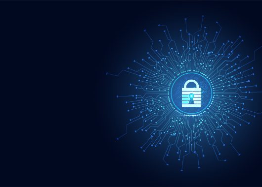 malware-reduce-ransomware-duplica
