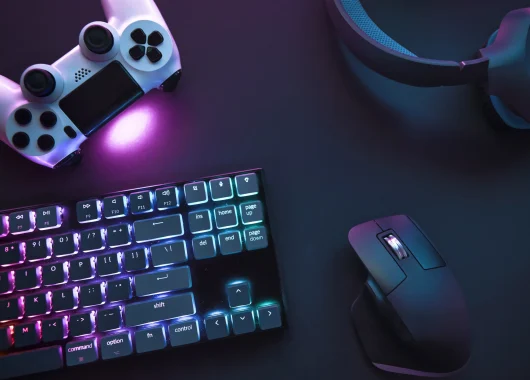 pandasecurity-los-hackers-utilizan-juegos-pirateados-para-propagar-malware.webp