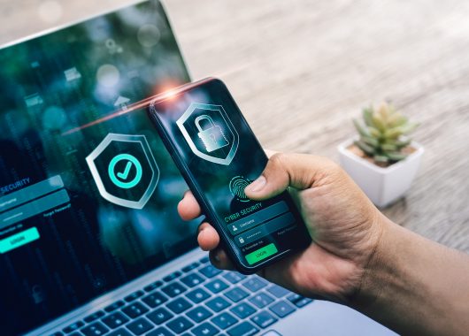 por-la-confianza-entra-el-engano-internet-no-es-para-imprudentes