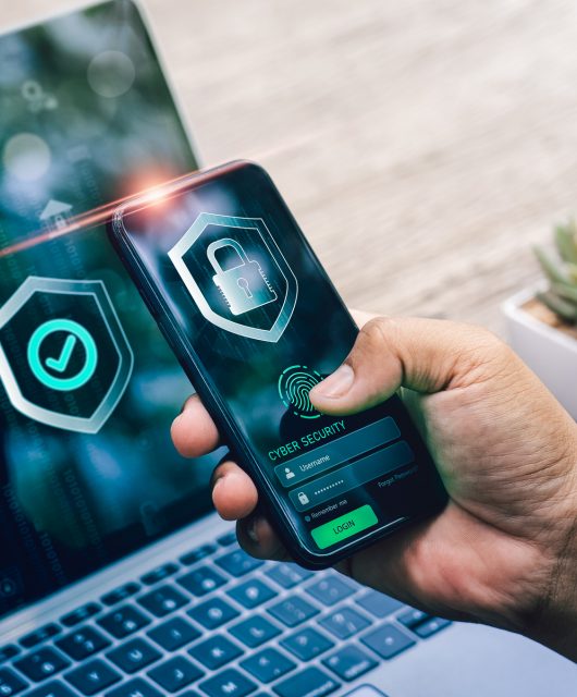 por-la-confianza-entra-el-engano-internet-no-es-para-imprudentes