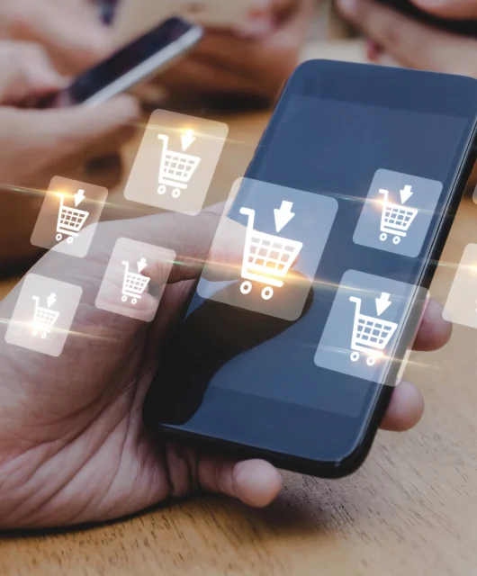 alerta-fraude-las-compras-por-impulso-en-redes-sociales-no-solo-pueden-afectar-al-bols