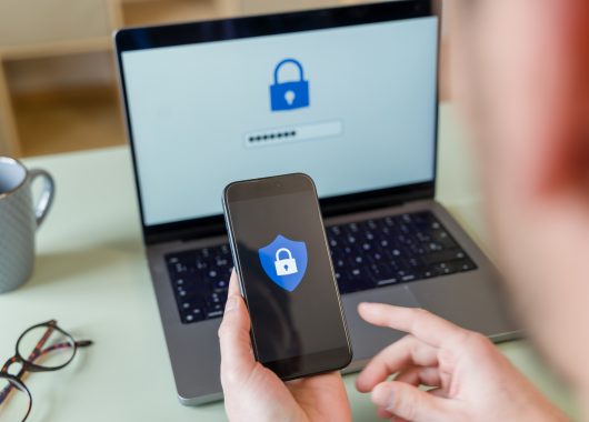 dia-internacional-de-ciberseguridad-la-seguridad-online-en-su-momento-mas-critico