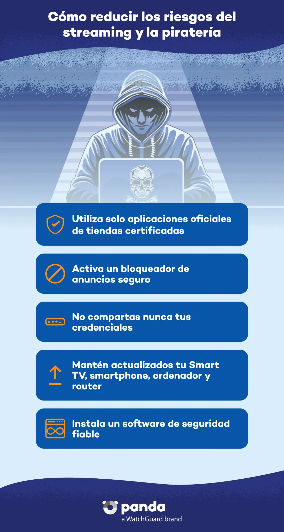 security--Cómo-reducir-los-riesgos-del-streaming-y-la-piratería-ES