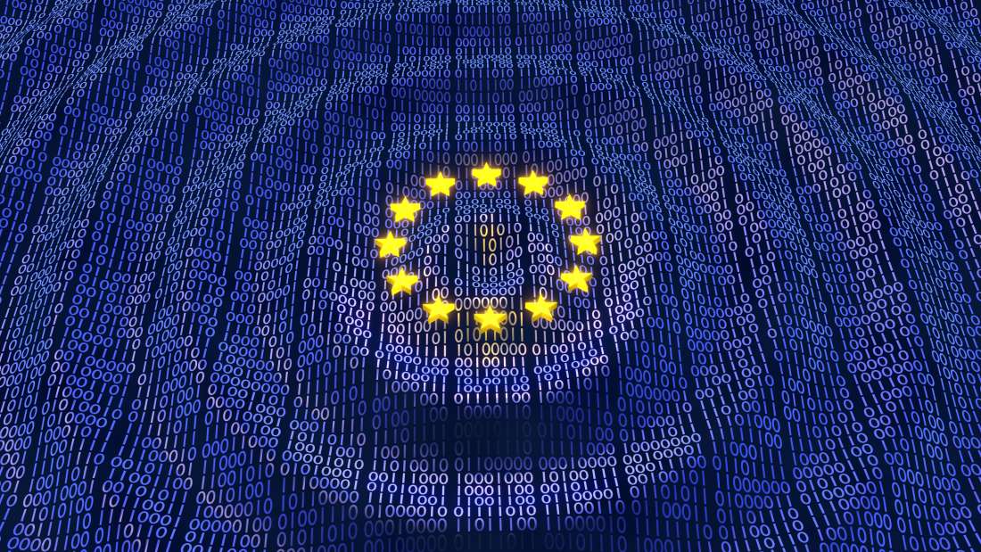 loi-sur-le-controle-des-chats-ue