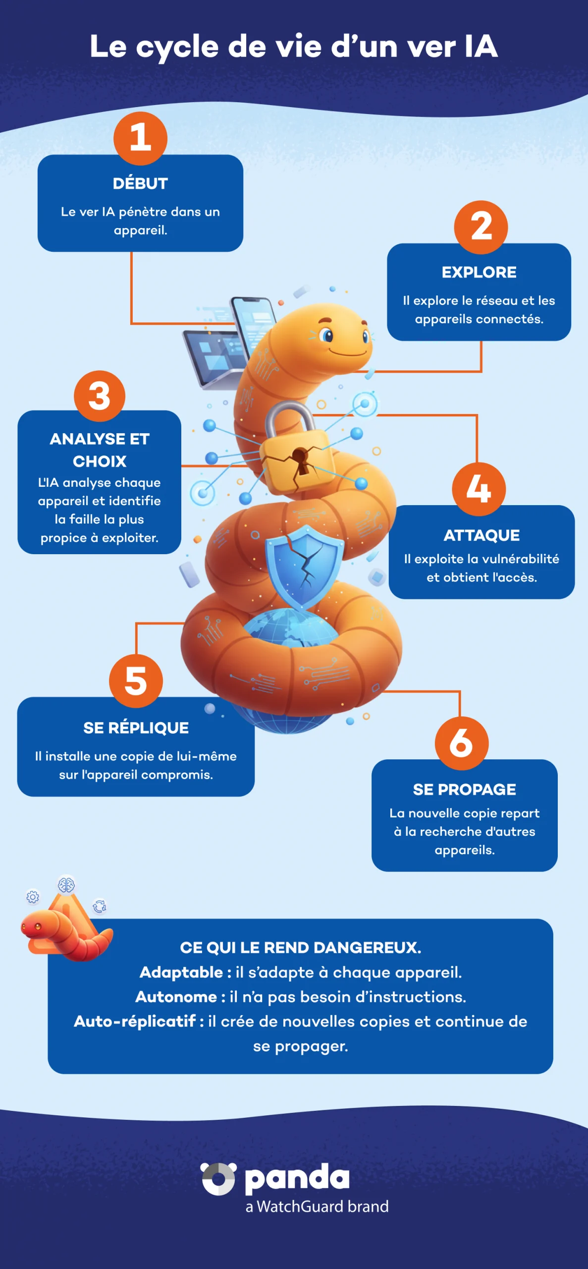 Le cycle de vie d'un ver IA