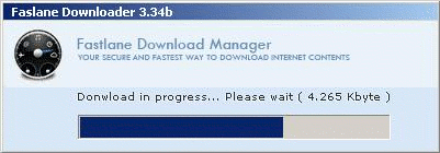 Image belonging to the download manager