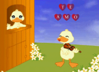 Image belonging to the video displayed