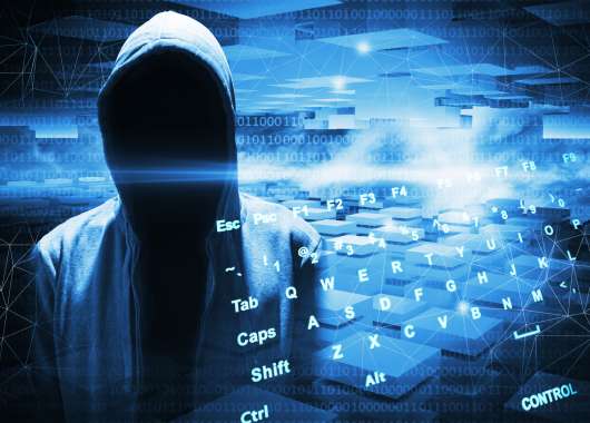 Che cosa c’è sulle dark net?