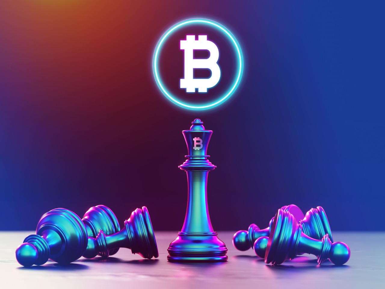 I 10 migliori account Casinò Crypto da seguire su Twitter