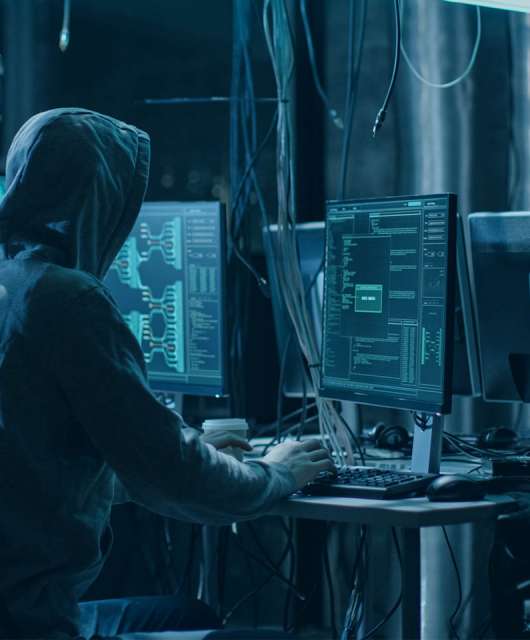 GoldBtue RDP botnet