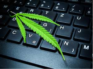 cannabis buyers data leaked