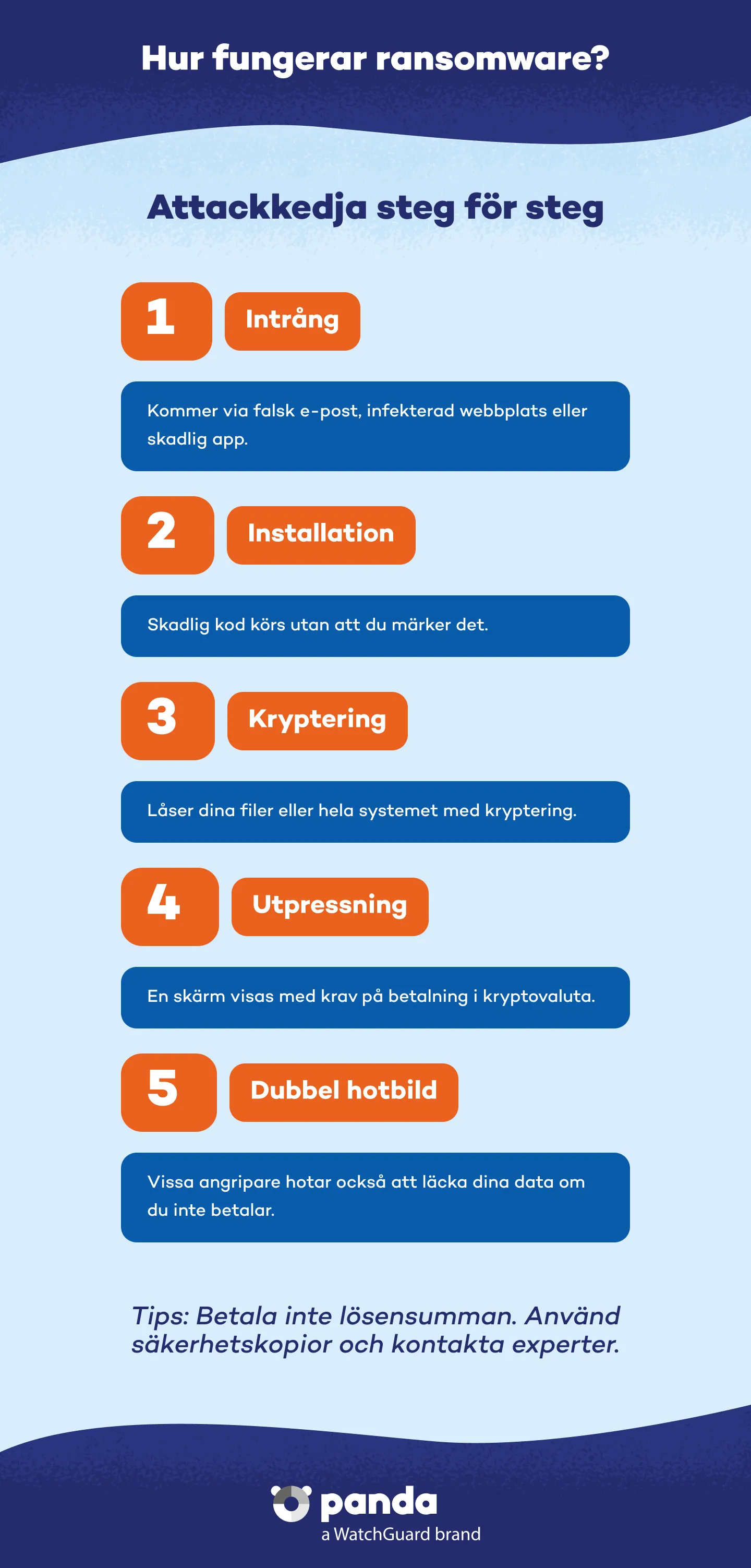 Hur fungerar ransomware? - Panda Security