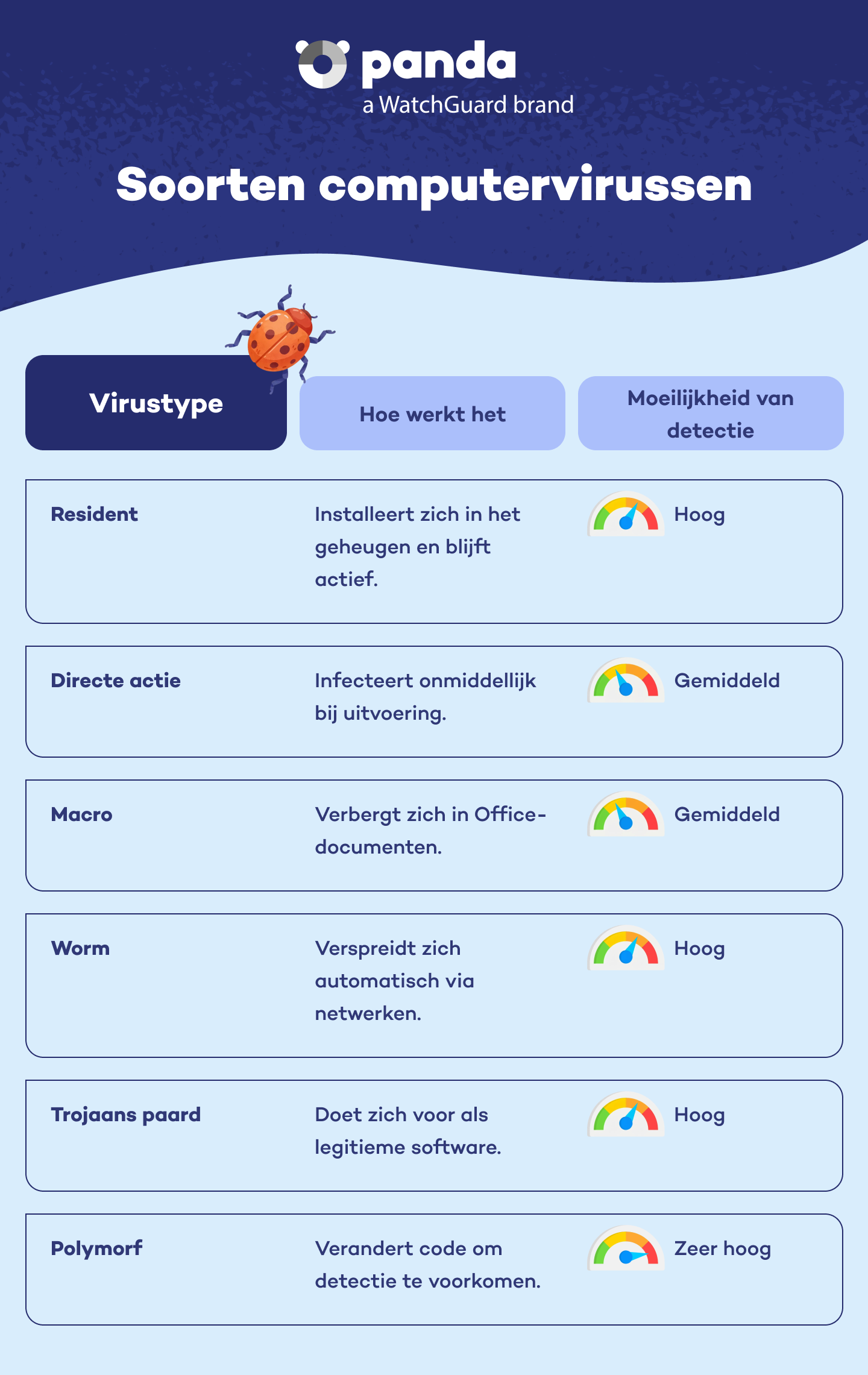De meest voorkomende soorten computervirussen - Panda Security
