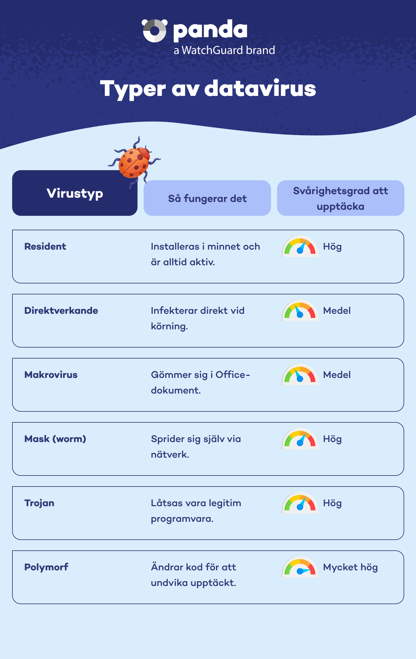 De vanligaste typerna av datavirus - Panda Security