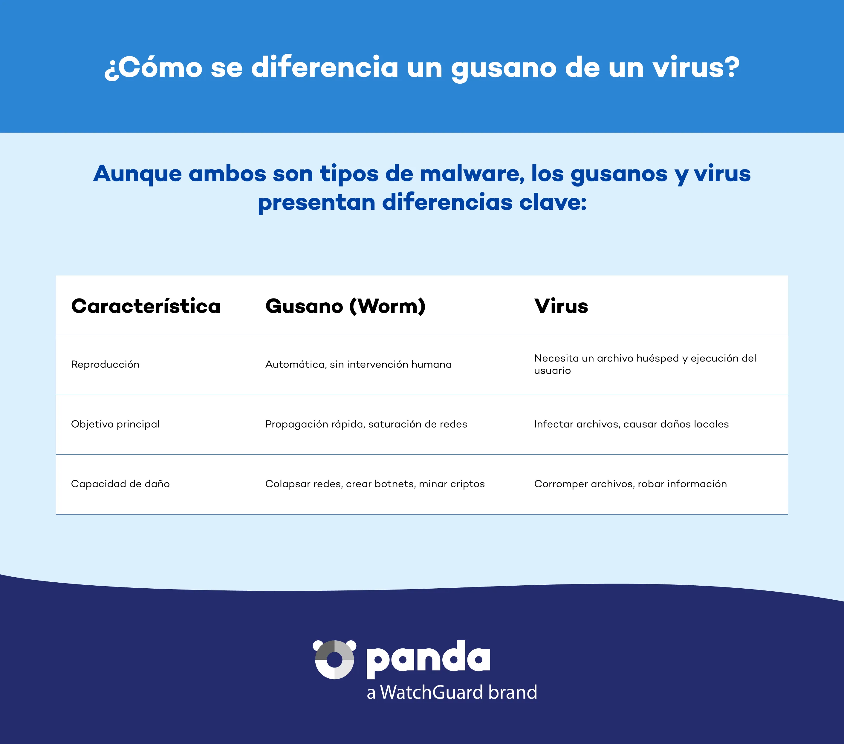Como se diferencia un gusano de un virus- Panda Security