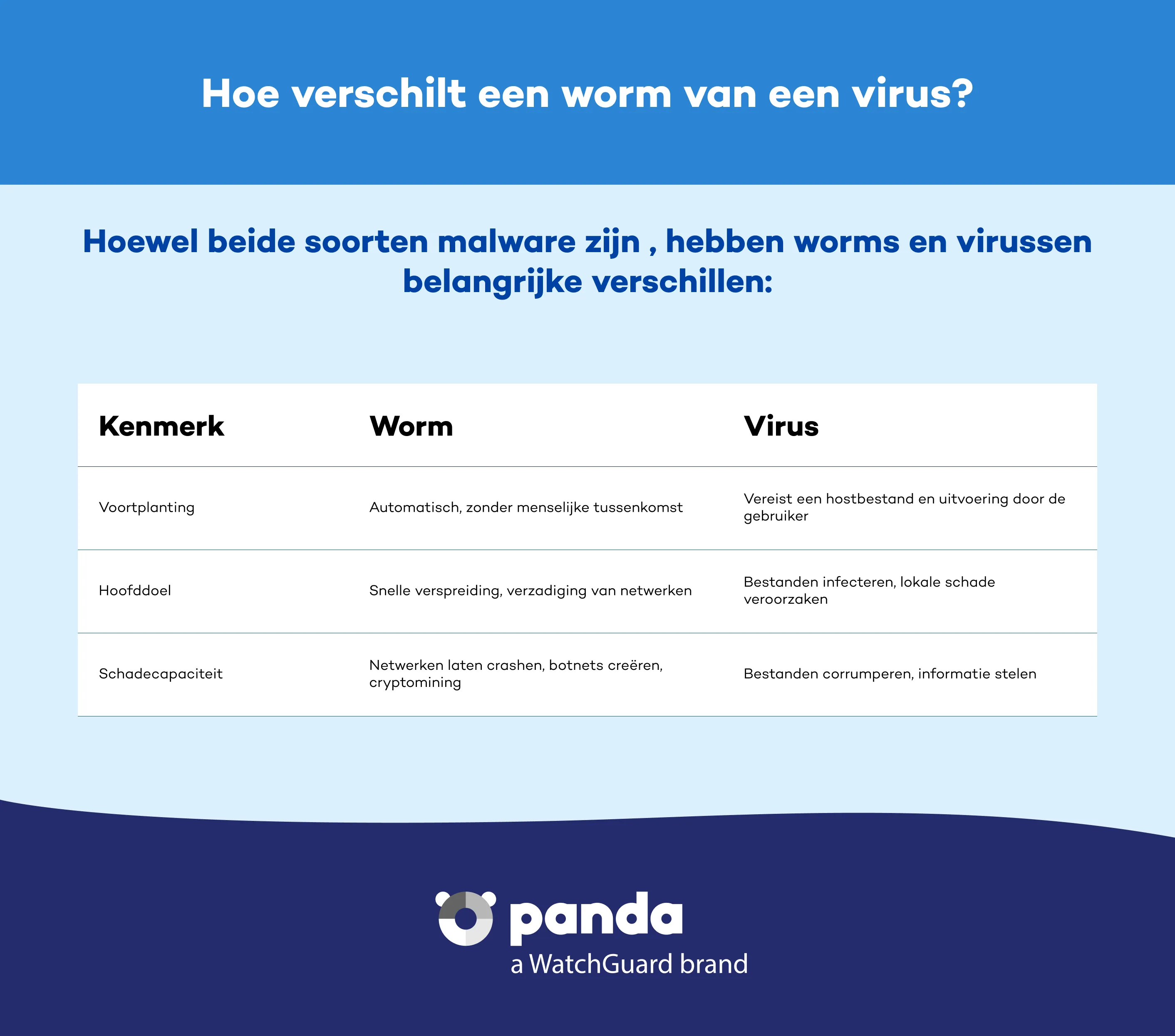 Waarin verschilt een worm van een virus?  - Panda Security