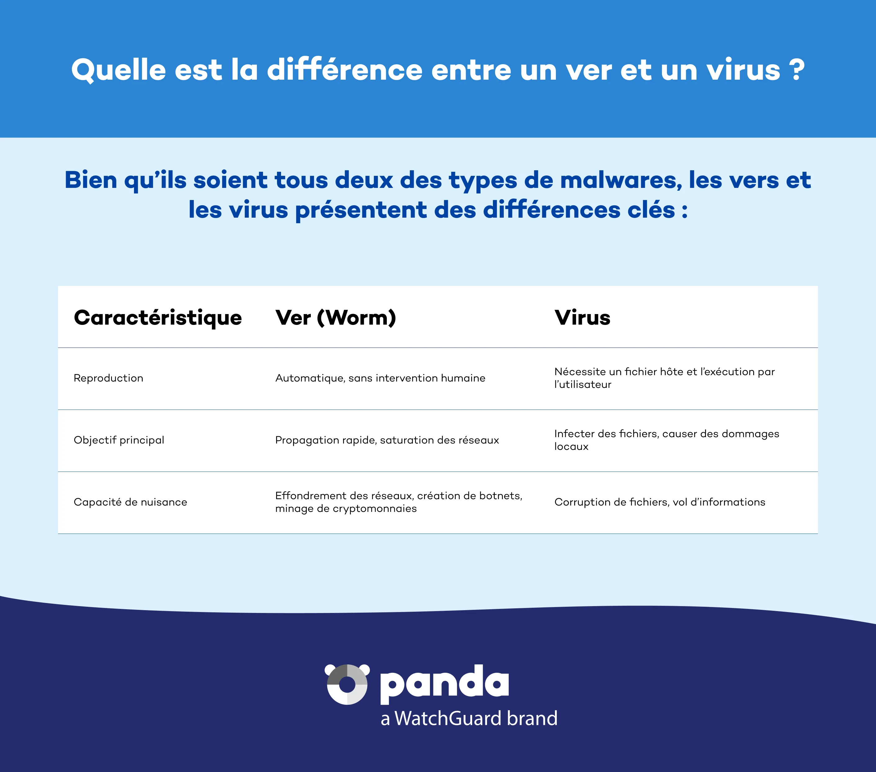Quelle est la difference entre un ver et un virus - Panda Security